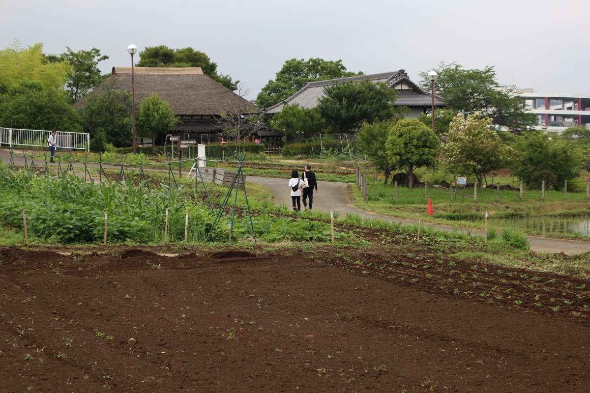🏞️ 아다치 도시농업공원 (아다치쿠토시노교코엔) 이미지 5